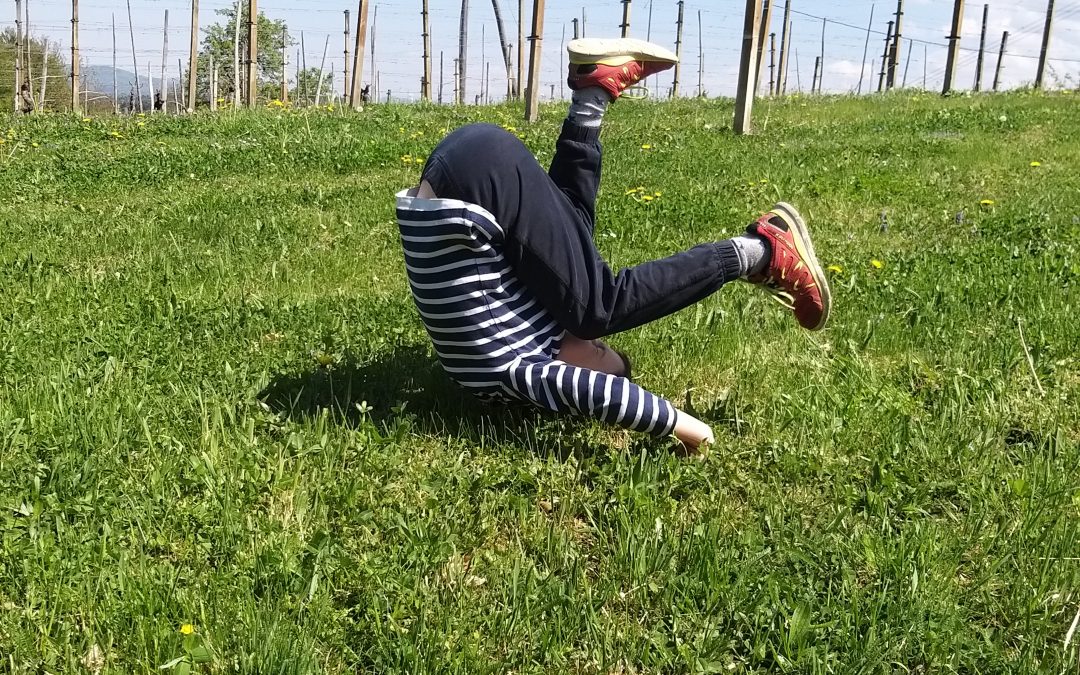 POUK NA DALJAVO v 1. razredu Stopiče – 6. teden