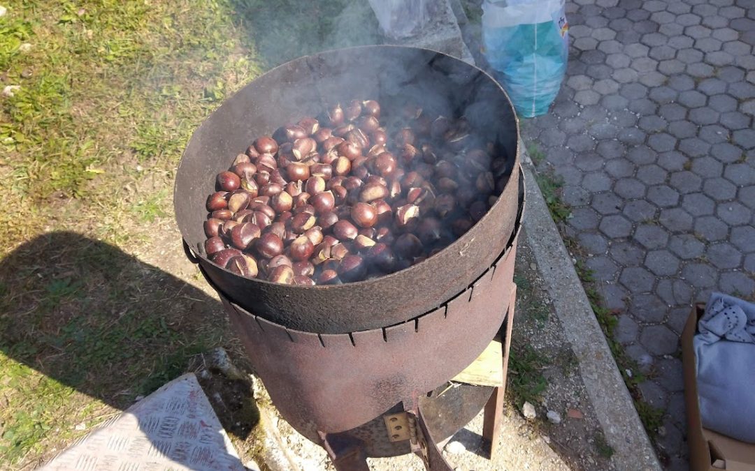 PŠ Podgrad – Zgodilo se je v oktobru…