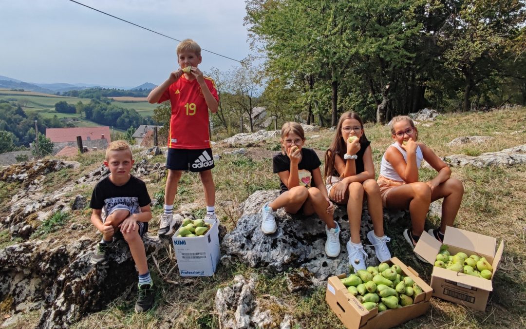 PŠ Dolž – sadje iz šolskega sadovnjaka